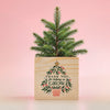 Appreciation Plant Cube - Thank You for Helping Us Grow Holiday
