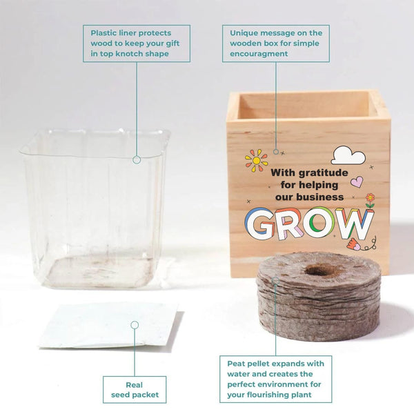 Growing Gratitude Plant Cube - Helping Our Business Grow