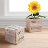 Growing Gratitude Plant Cube - Keep Us Blooming