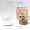 Growing Gratitude Plant Cube - Lucky to Have You