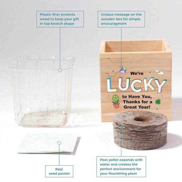 Growing Gratitude Plant Cube - Lucky to Have You