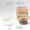Growing Gratitude Plant Cube - Seeds of Success