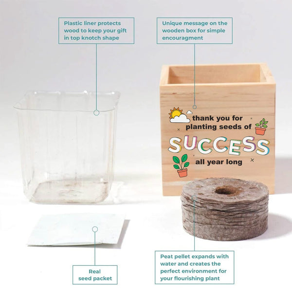 Growing Gratitude Plant Cube - Seeds of Success