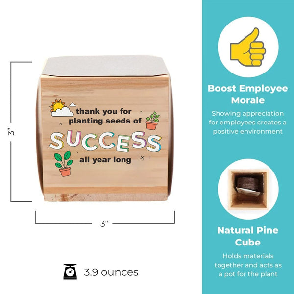 Growing Gratitude Plant Cube - Seeds of Success