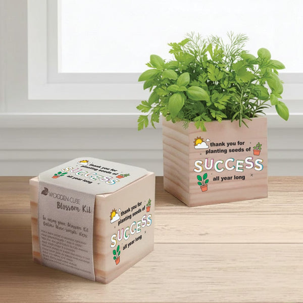 wooden cube blossom kit money plant Growing Gratitude Plant Cube - Seeds of Success