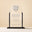 Crystal Guardian Trophy - Service