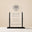 Crystal Guardian Trophy - Goat
