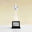 North Star Crystal Trophy - Tall
