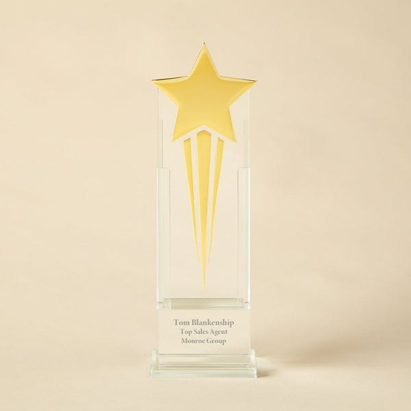 Reach for the Stars Perpetual Trophy