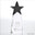 Crystal Star Pinnacle Trophy - Black