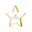 Radiant Star Award - Gold  - Medium