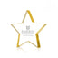 Radiant Star Award - Gold  - Medium