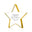 Radiant Star Award - Gold - Large