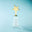 Golden Star Crystal Award
