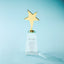Golden Star Crystal Award