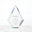 Pinnacle of Excellence Awards - Large
