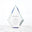Pinnacle of Excellence Awards - Large