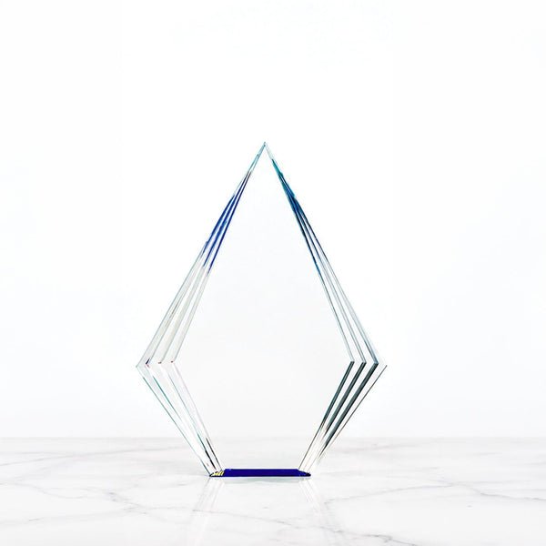 Pinnacle of Excellence Awards - Medium