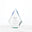 Pinnacle of Excellence Awards - Medium