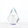 Pinnacle of Excellence Awards - Medium
