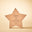 Natural Star Talent Award - Large