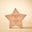 Natural Star Talent Award - Large