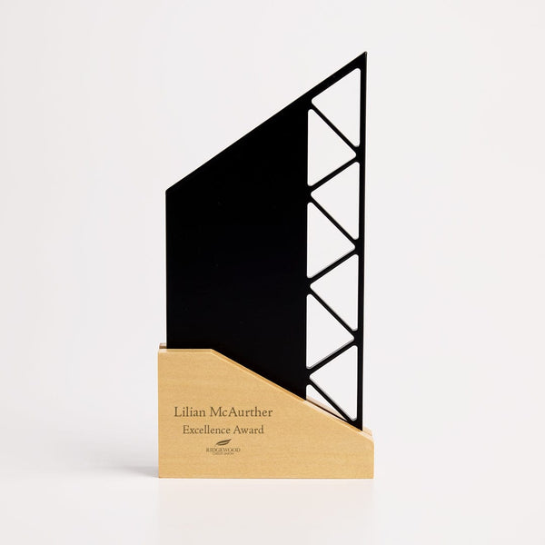 The Upcycled Honors Award - Peak