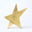 Stellar Award - Gold
