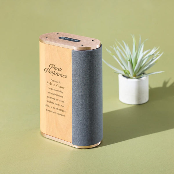 The Sound of Success Award