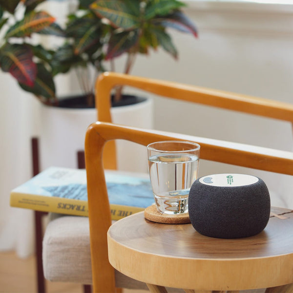 Add Your Logo: Bamboo Boost Wireless Speaker and Charger