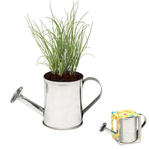 Add Your Logo: Watering Can Planter
