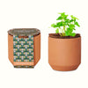 Add Your Logo: Modern Sprout® Tiny Terracotta Grow Kit