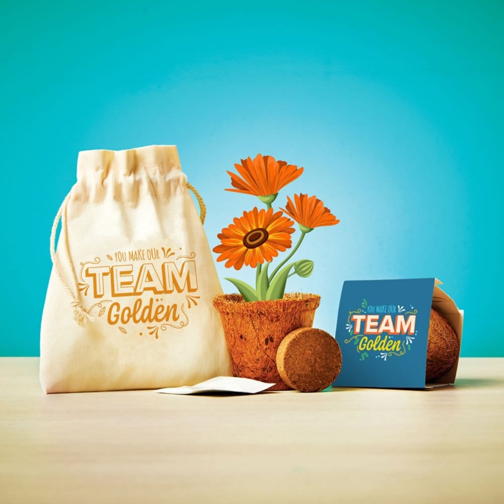 Plantable Encouragement Set - Make Our Team Golden