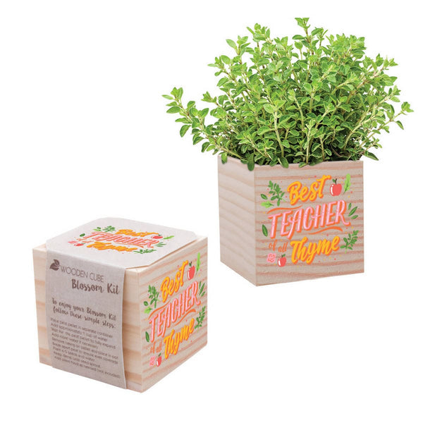 Appreciation Plant Cube - Best Teacher Of All Thyme