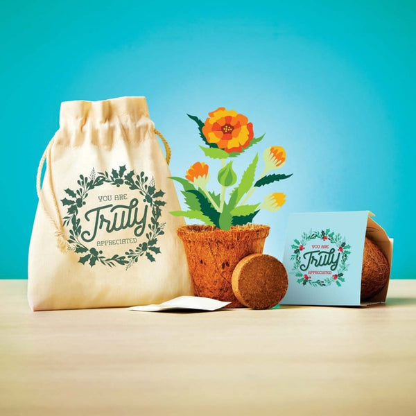 Plantable Encouragement Set - You Are Truly Appreciated