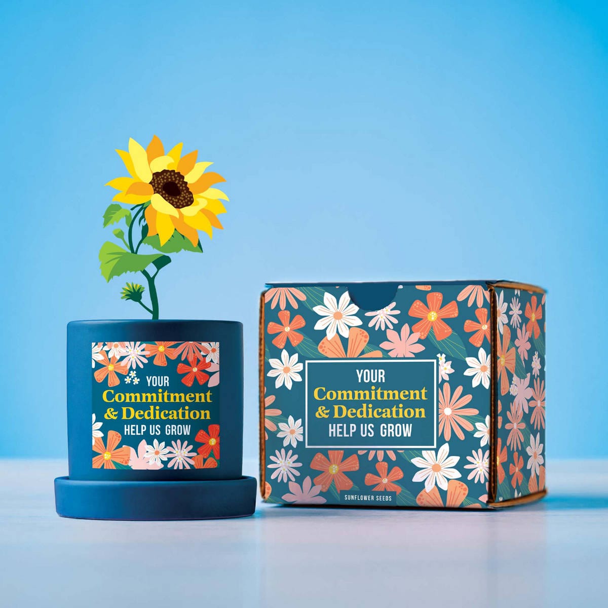Blooming Planter Gift Set - Commitment & Dedication
