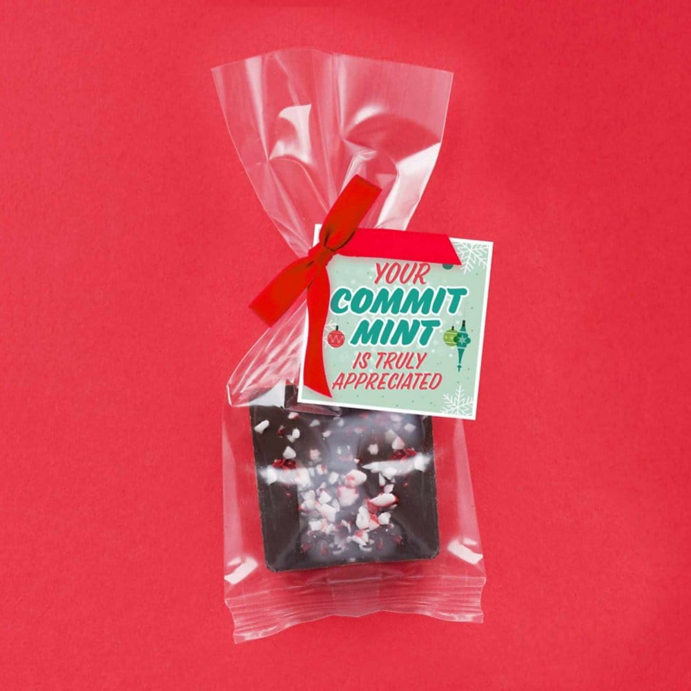 Bite Size Belgian Chocolate Square - Peppermint