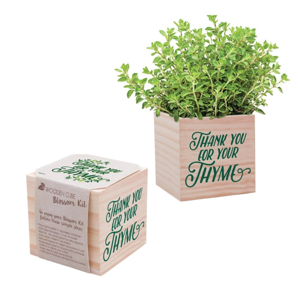 Appreciation Plant Cube - Thank You For Your Thyme