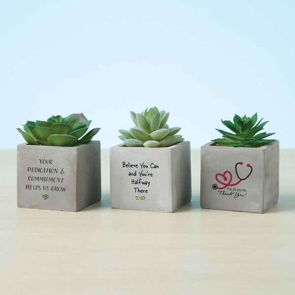 faux mini succulents Office Vibes Mini Potted Faux Succulents - Stethoscope