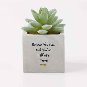 Office Vibes Mini Potted Faux Succulents - Believe You Can