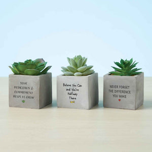 Office Vibes Mini Potted Faux Succulents - Believe You Can