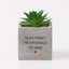Office Vibes Mini Potted Faux Succulents - Difference