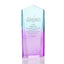 Ombre Acrylic Trophy Collection - Obelisk